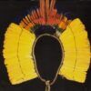 Carnival! - The Rainforest Foundation