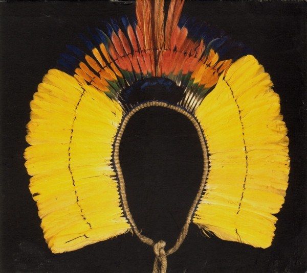 Carnival! - The Rainforest Foundation