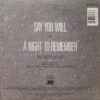 Say You Will
