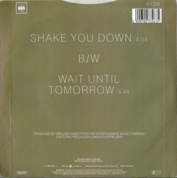 Shake You Down
