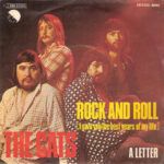 66789b5c5d8cadc2c6d440f23afb3630da9e9b29_0_0.jpeg Rock And Roll (I Gave You The Best Years Of My Life)