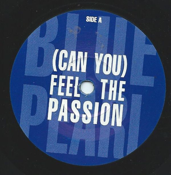 (Can You) Feel The Passion