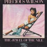 The Jewel Of The Nile