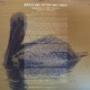 Greggio E Pericoloso (Original Soundtrack)