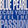 (Can You) Feel The Passion