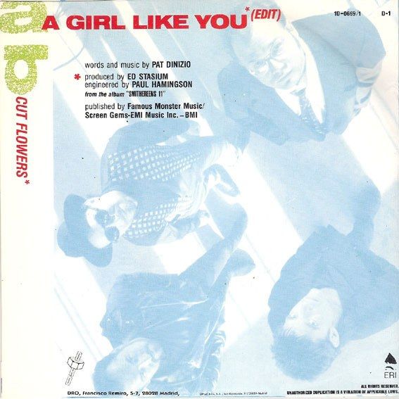 A Girl Like You