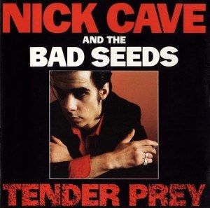 Tender Prey