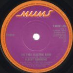The Free Electric Band