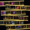 Live At The Library Theatre '83