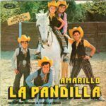 85d937057373b862d93e8df44f0af23a2b992e8c_0_0.jpeg Amarillo