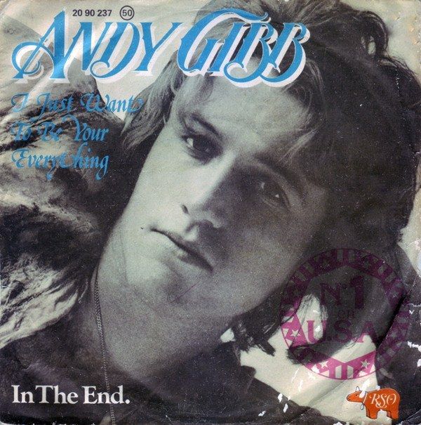 I Just Want To Be Your Everything / In The End