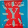 Shakin' The Tree