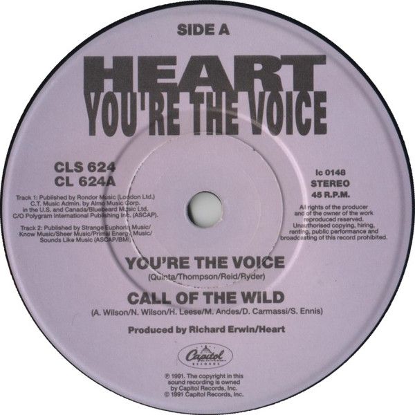 90c5aad65c8f28a2eabc30789cc57cb52d4e320b_0_0.jpeg You're The Voice