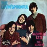 910fed08683f168b16ba89f10ceab6a92149b60d_0_0.jpeg Nashville Cats