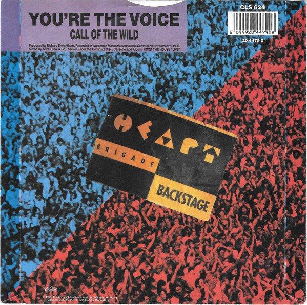 95484eb15016f78e32cb0bda0d5135356f8a9397_0_0.jpeg You're The Voice