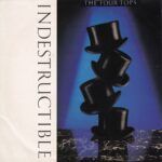 Indestructible