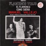 Flamenco Viejo