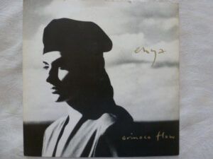 Orinoco Flow