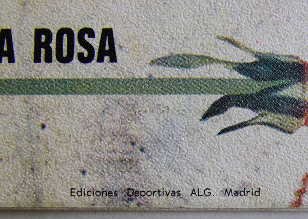 O Quizás Simplemente Le Regale Una Rosa / Mamá Regó Azúcar En Mi