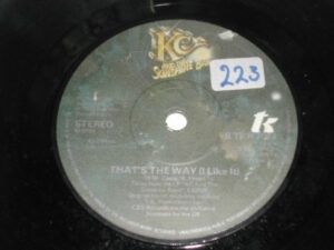 That's The Way (I Like It)