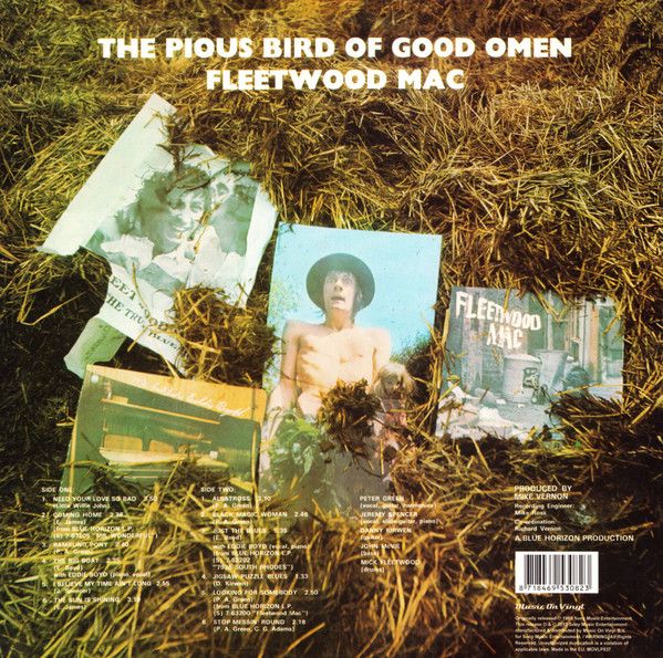 The Pious Bird Of Good Omen