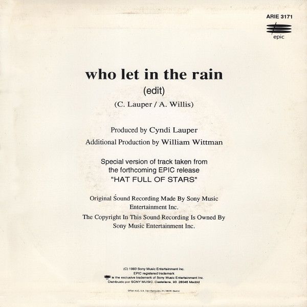 Who Let In The Rain