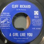 A Girl Like You