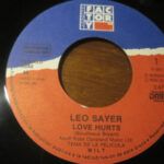 Love Hurts - Wilt (Tema Principal De La Película)