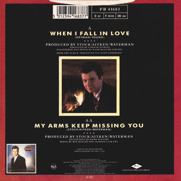 When I Fall In Love / My Arms Keep Missing You