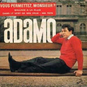 Vous Permettez Monsieur ?
