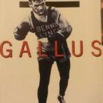 Gallus
