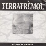 Gegant De Formigó