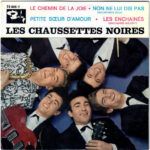 Le Chemin De La Joie