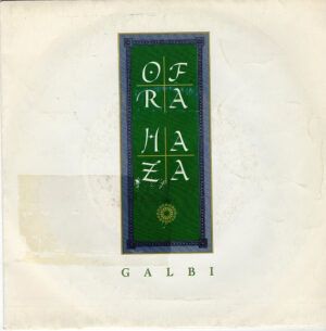 Galbi