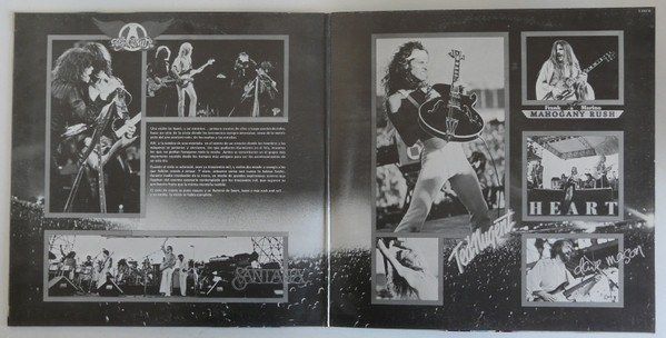 California Jam 2