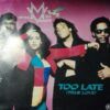 Too Late (True Love)