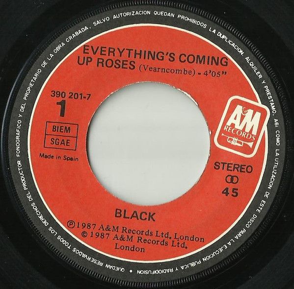 Everything's Coming Up Roses / Ravel In The Rain