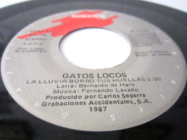 b2ab5f82c3f132f0b525c0b60c985fafb95c978c_0_0.jpeg La Lluvia Borró Tus Huellas