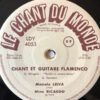 Chant Et Guitare Flamenco