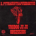 Voodoo Ju Ju Obsession
