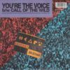 You're The Voice