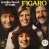 bd5376b521c116f6ae559fe807acbd0404b51f6b_0_0.jpeg Figaro