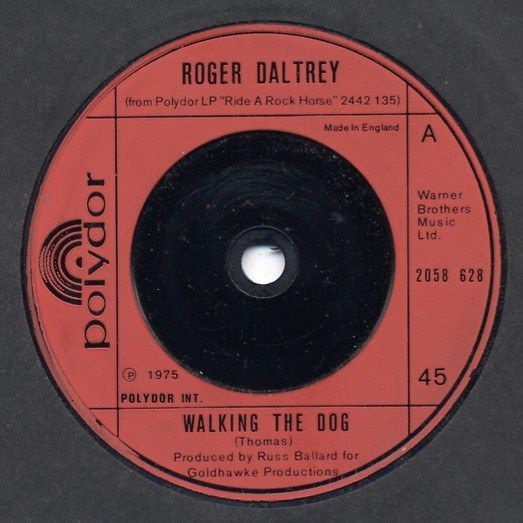 Walking The Dog