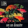 Soy Un Desastre