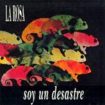 Soy Un Desastre