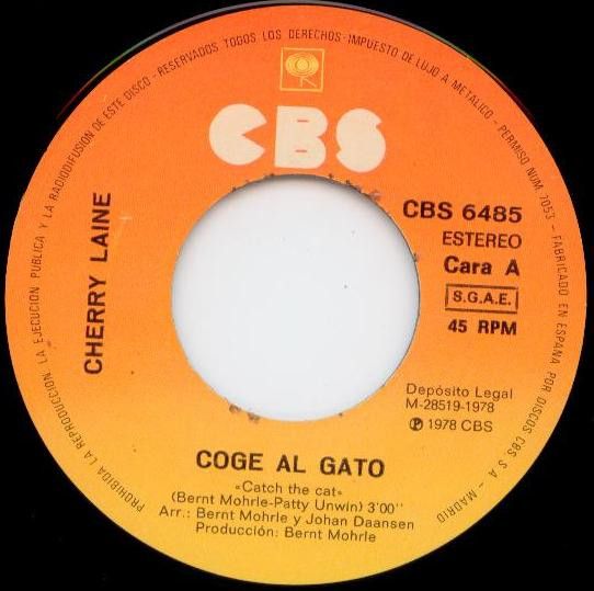 Coge Al Gato
