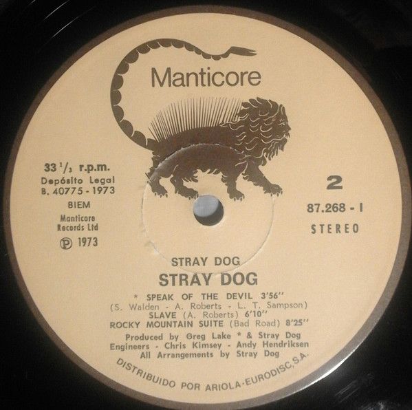 Stray Dog