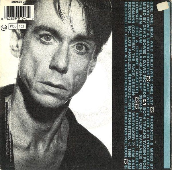 Real Wild Child (Wild One)