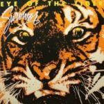 Eye Of The Tiger