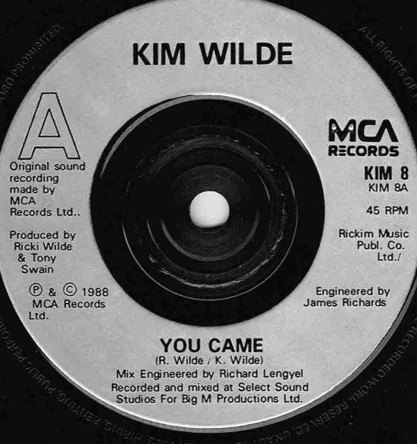 d40fd808480411304b778ed691a78fbd2db7d911_0_0.jpeg You Came